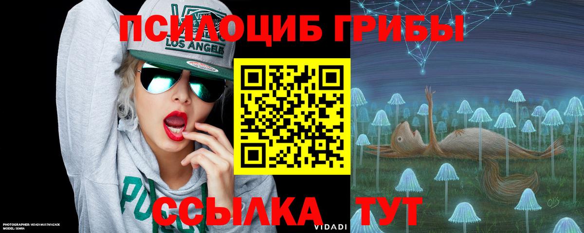 Буйнакск  Галлюциногенные грибы Psilocybine cubensis  Псилоцибиновые грибы ЛСД  Вход с VPN 