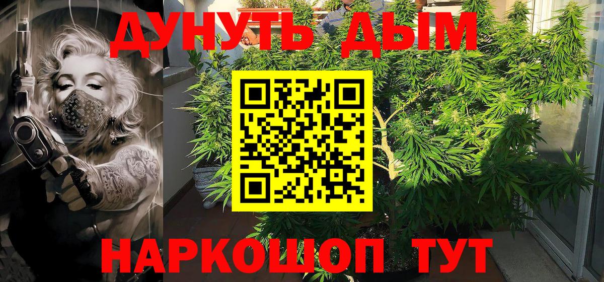 МАРИХУАНА ГИДРОПОН  Каннабис план  Вход с VPN  Каннабис индика  Бошки Шишки MAZAR  Буйнакск 